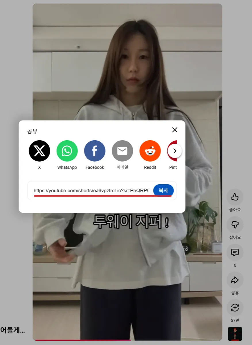 쇼츠웍스에 가져올 SNS의 공유링크를 복사합니다.
